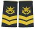 csb15.jpg (4297 bytes)