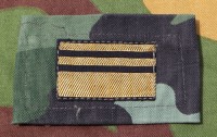 yu3076gs.jpg (49136 bytes)