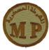 irp110s.jpg (3739 bytes)