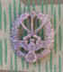 rgm21s.jpg (64887 bytes)