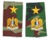 syrsb22s.jpg (63459 bytes)