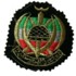 iran11s.jpg (58700 bytes)